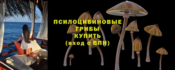 не бодяженный Беломорск