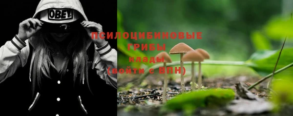не бодяженный Беломорск