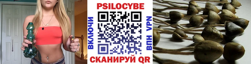 Псилоцибиновые грибы Cubensis  площадка клад  Сухиничи 